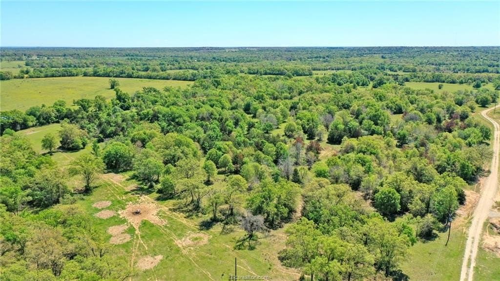 15.15 acres in Robertson County gallery image 2