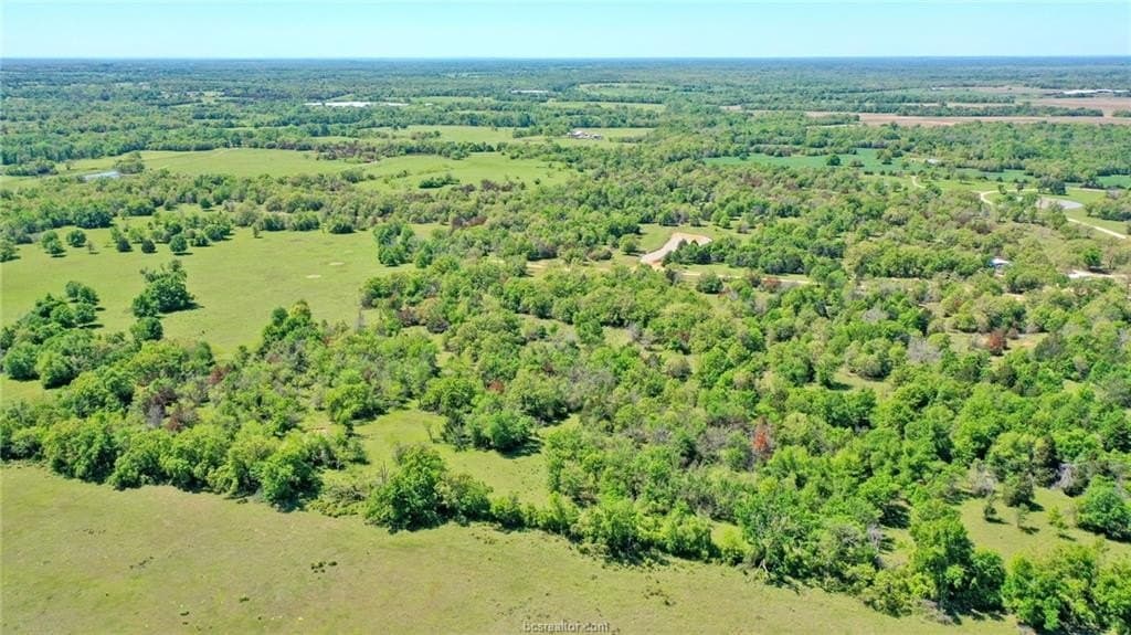 15.15 acres in Robertson County - photo 13