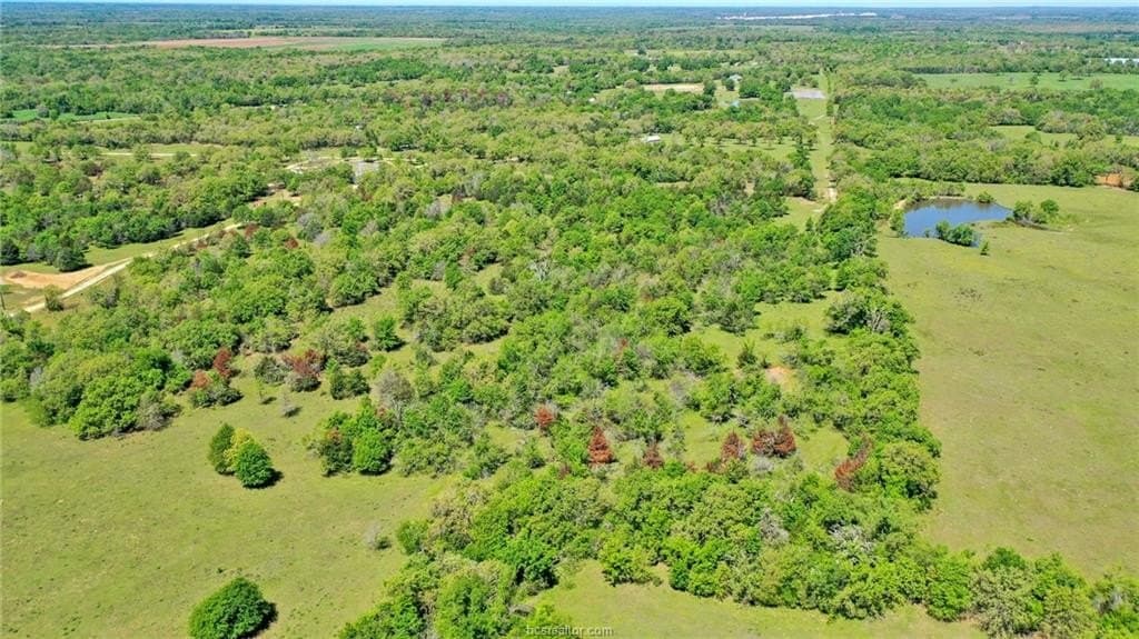 15.15 acres in Robertson County - photo 15