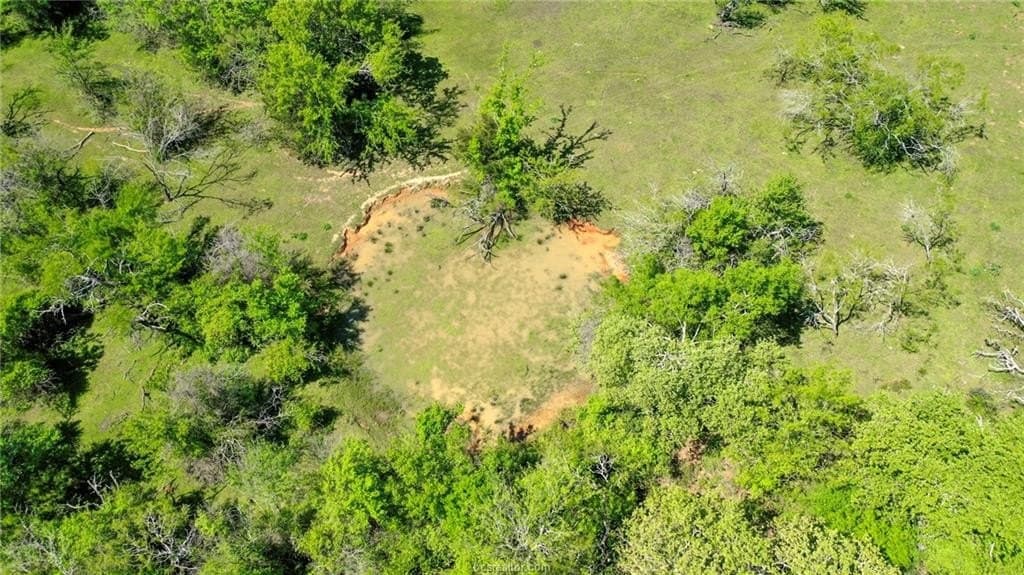 15.15 acres in Robertson County - photo 12