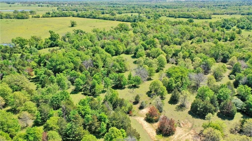 15.15 acres in Robertson County gallery image 3