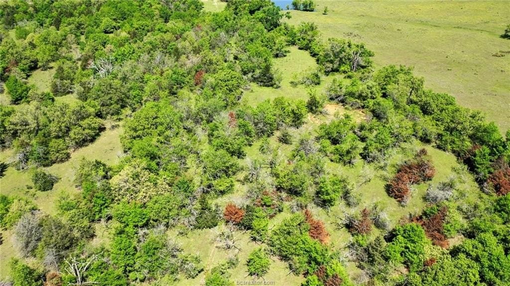 15.15 acres in Robertson County - photo 11
