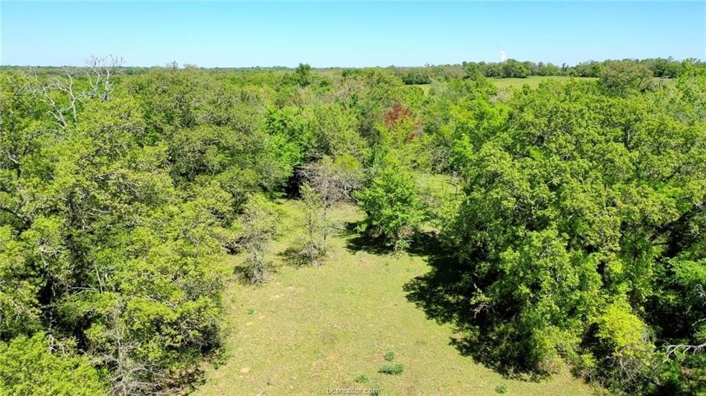 15.15 acres in Robertson County - photo 10