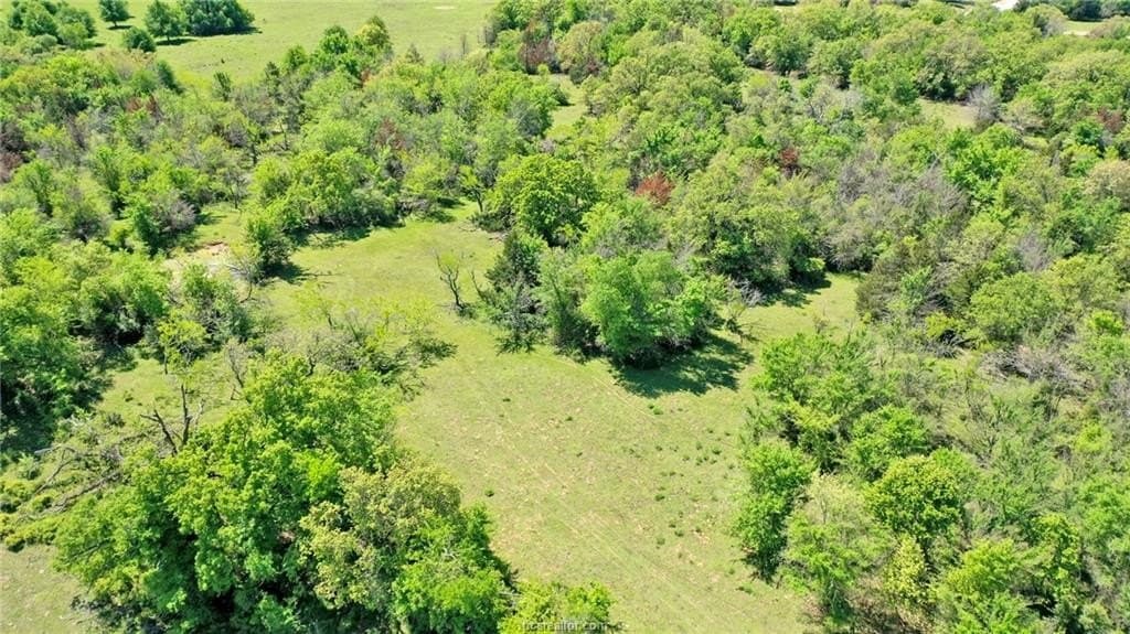 15.15 acres in Robertson County - photo 7