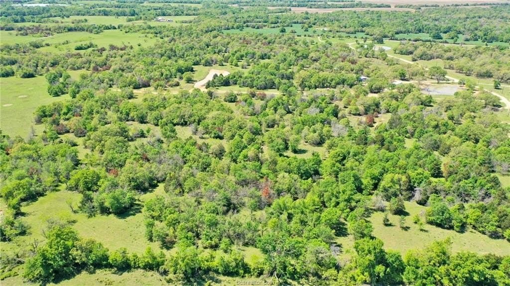 15.15 acres in Robertson County - photo 14