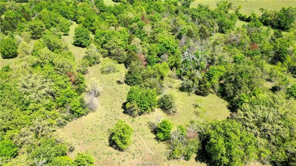 15.15 acres in Robertson County - photo 9