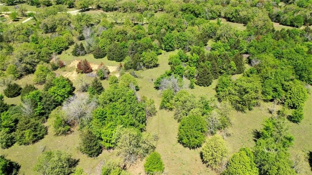 15.15 acres in Robertson County - photo 8