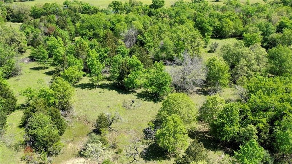 15.15 acres in Robertson County gallery image 4