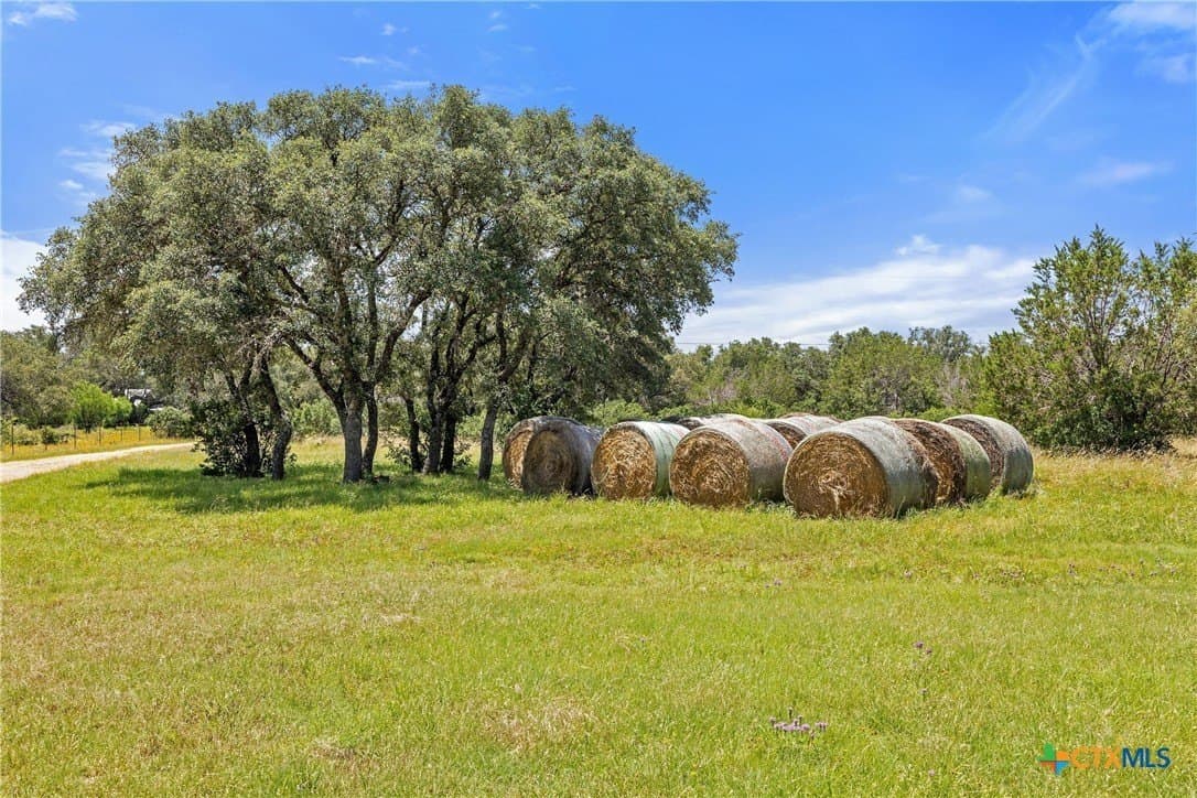66 acres in Blanco County - photo 38