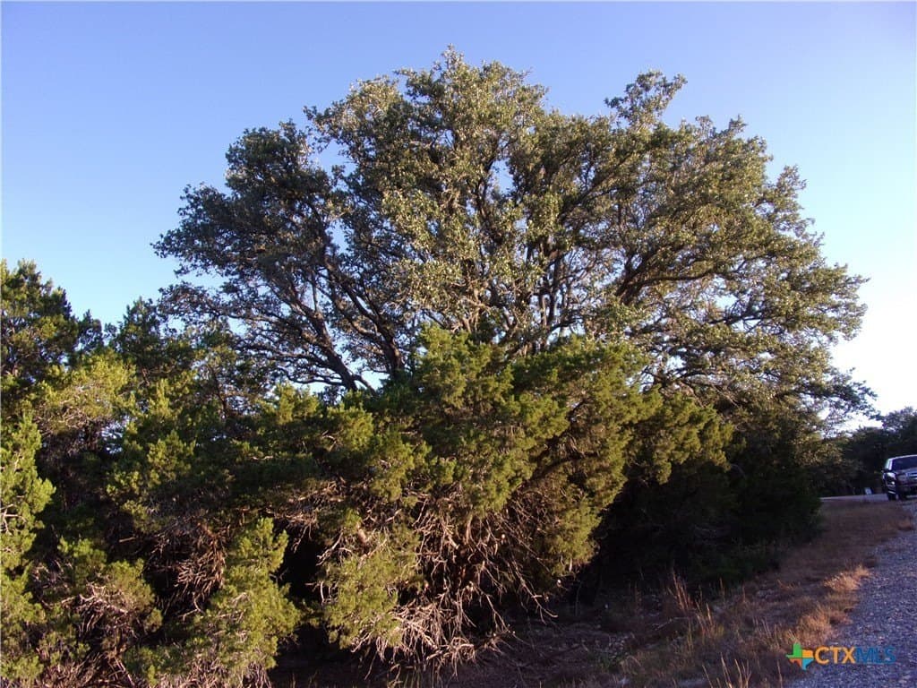 1 acres in Comal County - photo 2