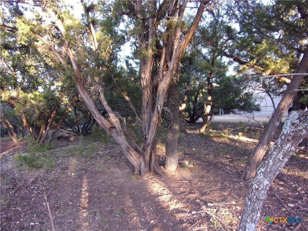 1 acres in Comal County - photo 7