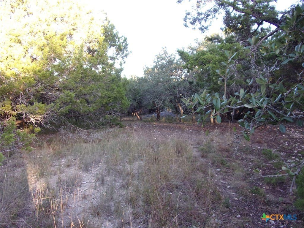 1 acres in Comal County - photo 8
