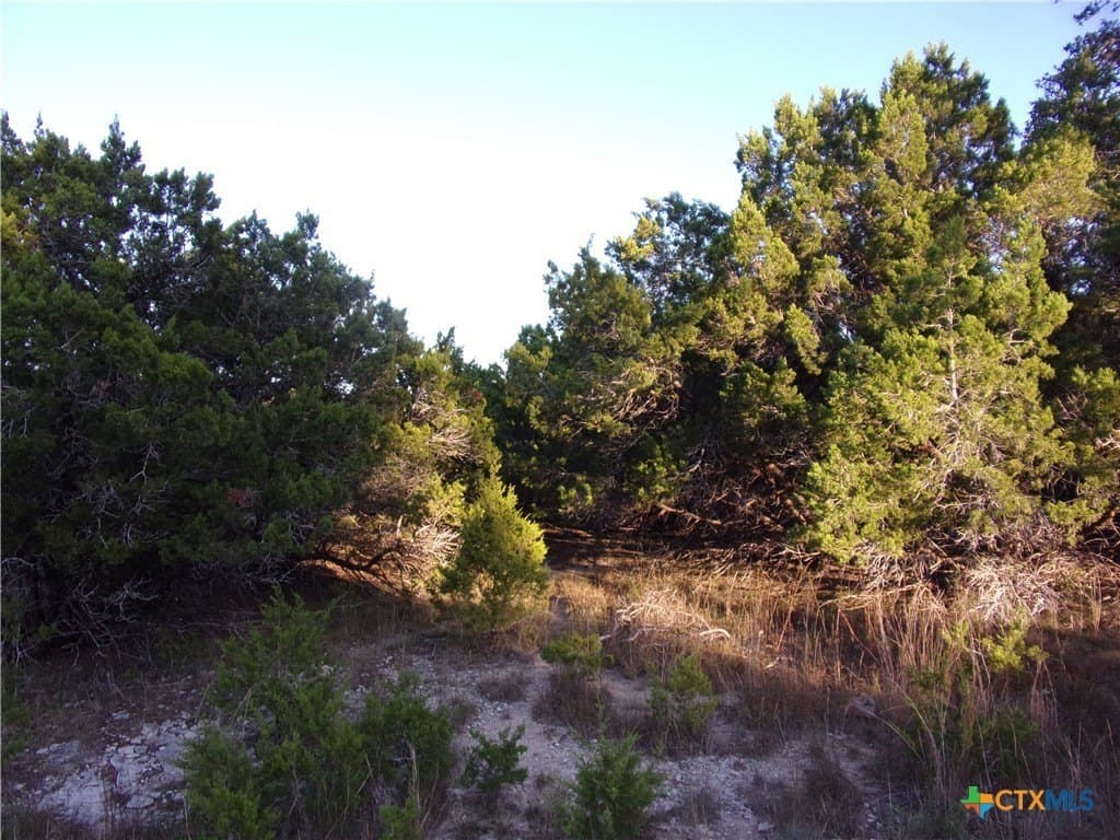 1 acres in Comal County - photo 11
