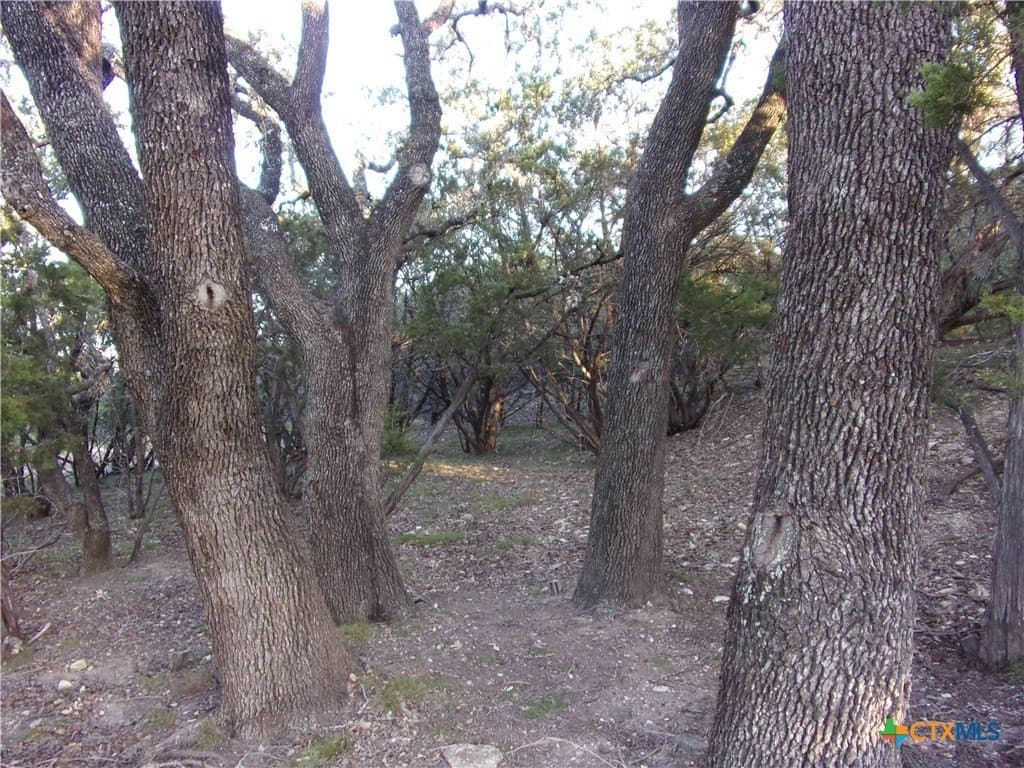 1 acres in Comal County - photo 4