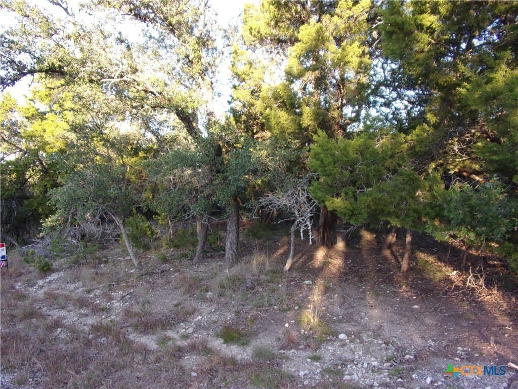 1 acres in Comal County - photo 9