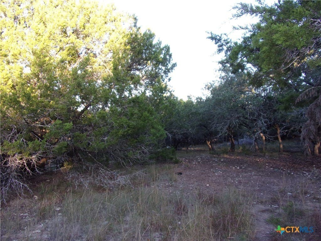 1 acres in Comal County - photo 6