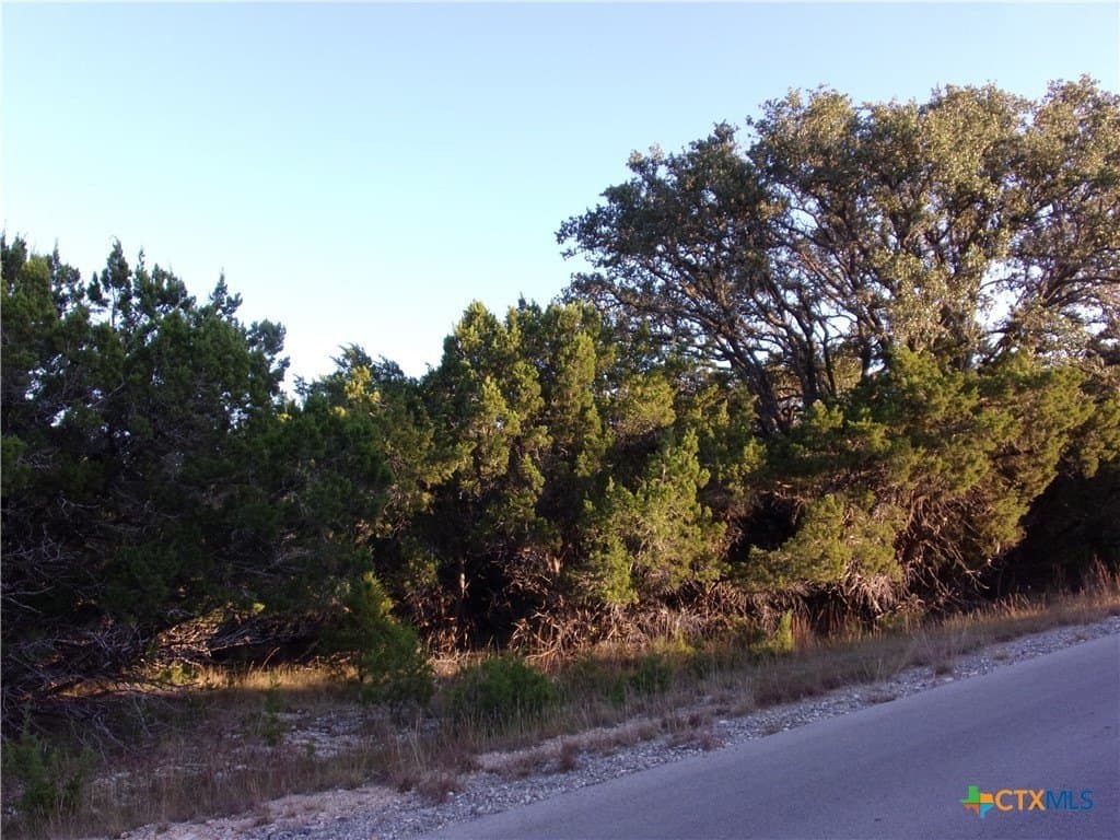 1 acres in Comal County - photo 3