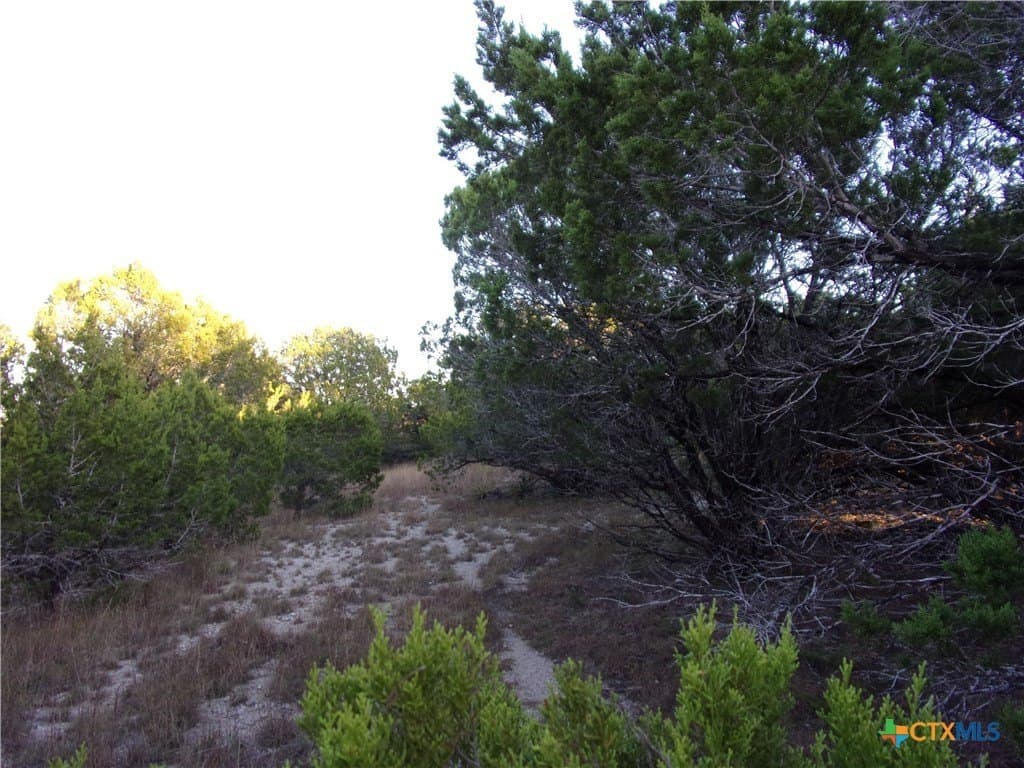 1 acres in Comal County - photo 5