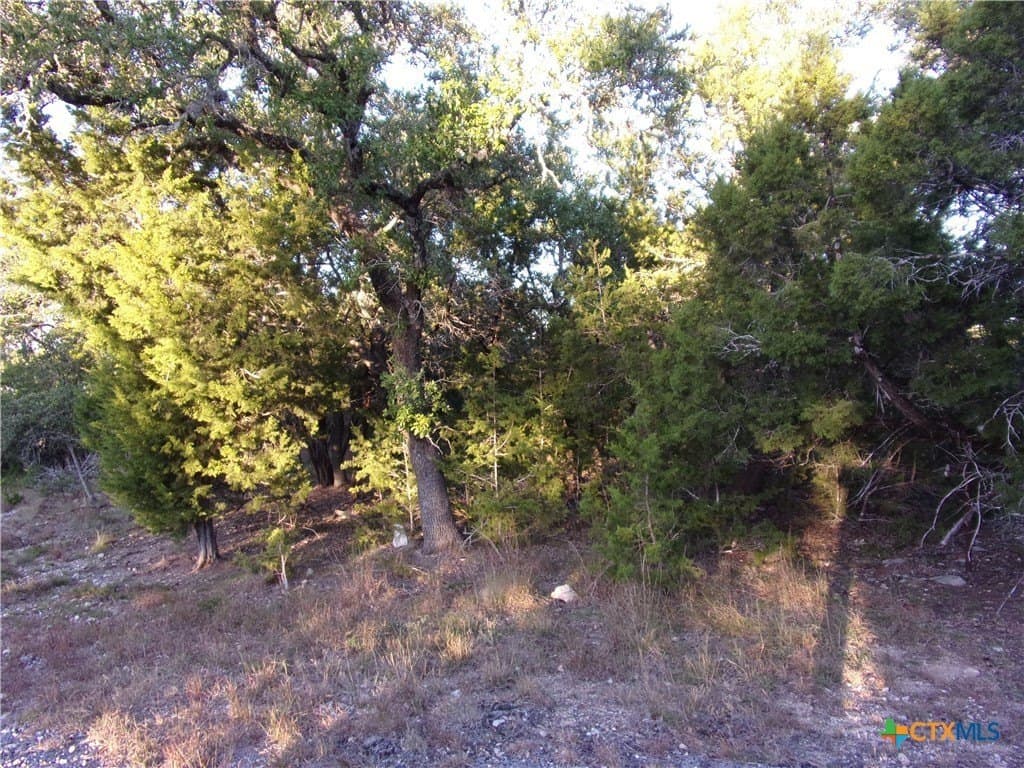 1 acres in Comal County - photo 10