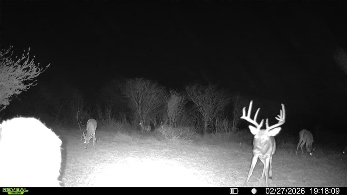 25 acres in Jim Wells County gallery image 3