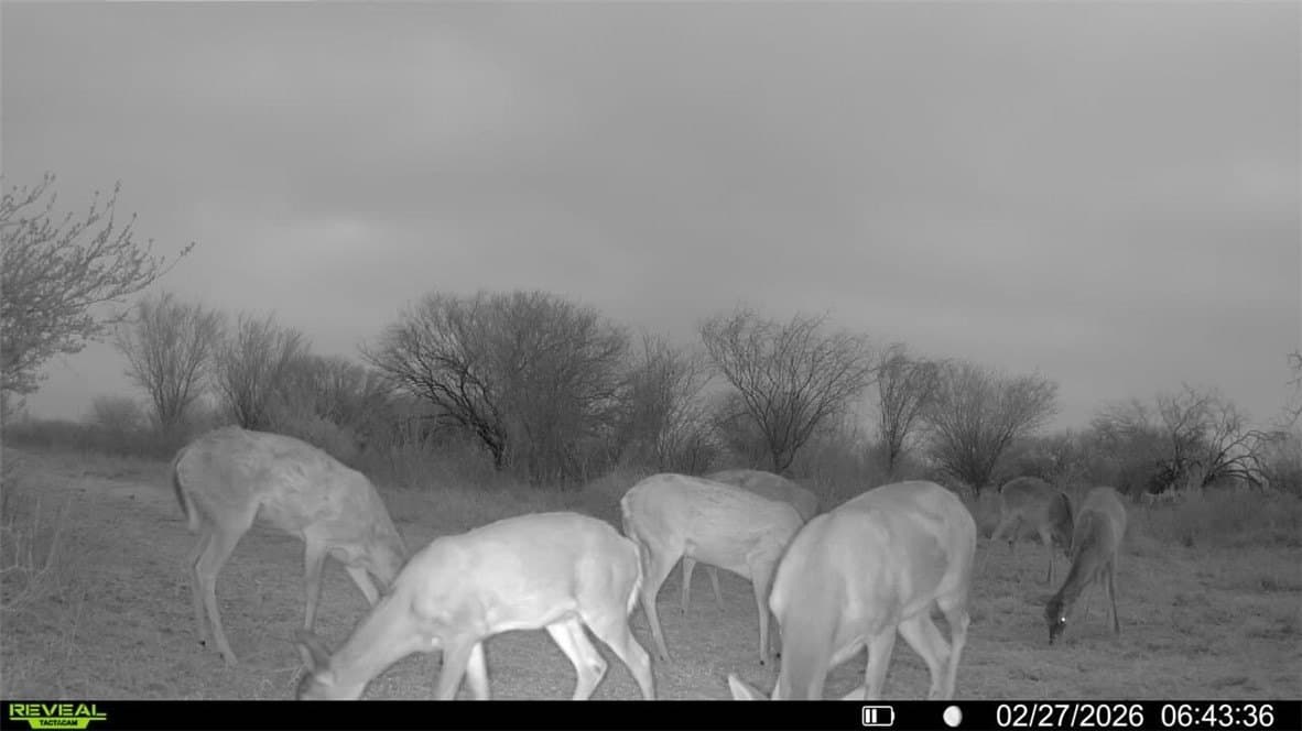 25 acres in Jim Wells County featured view