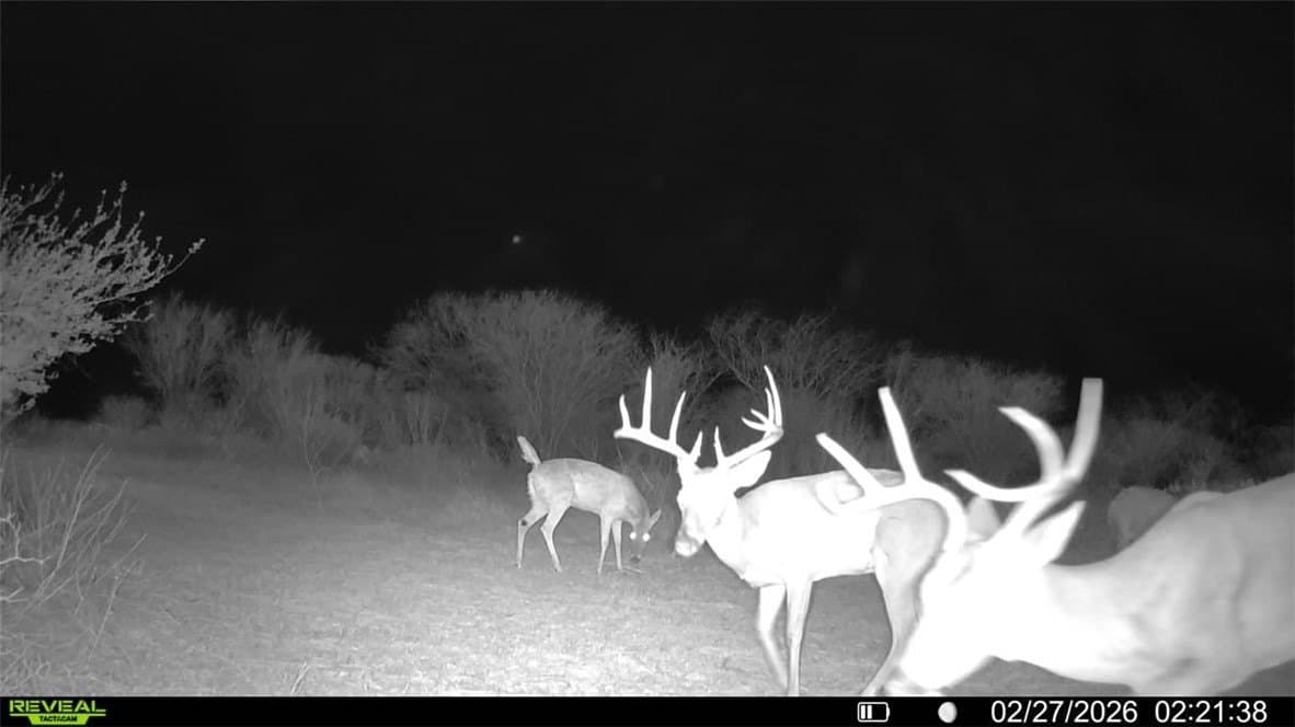 25 acres in Jim Wells County