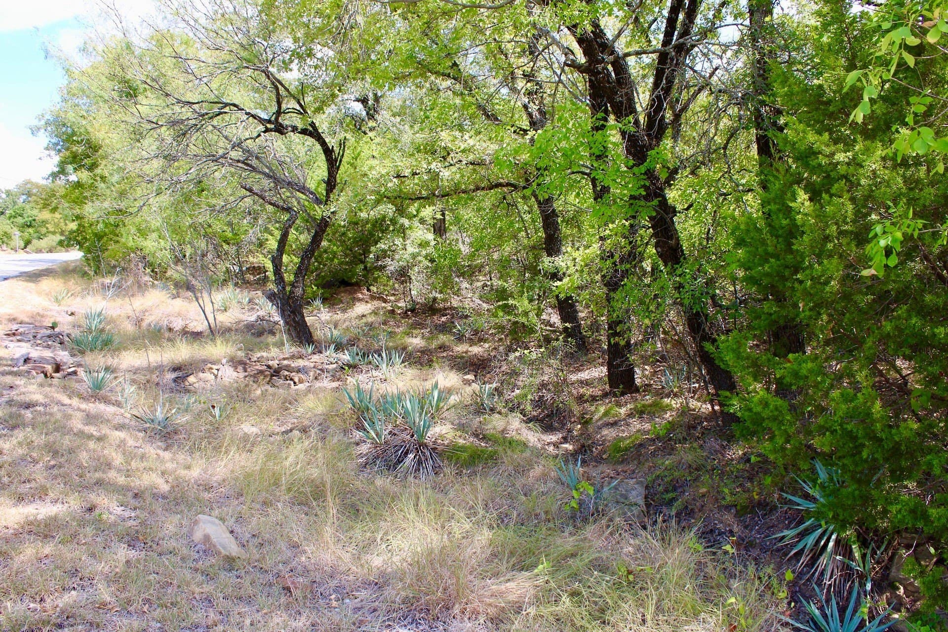 4.85 acres in Palo Pinto County - photo 13