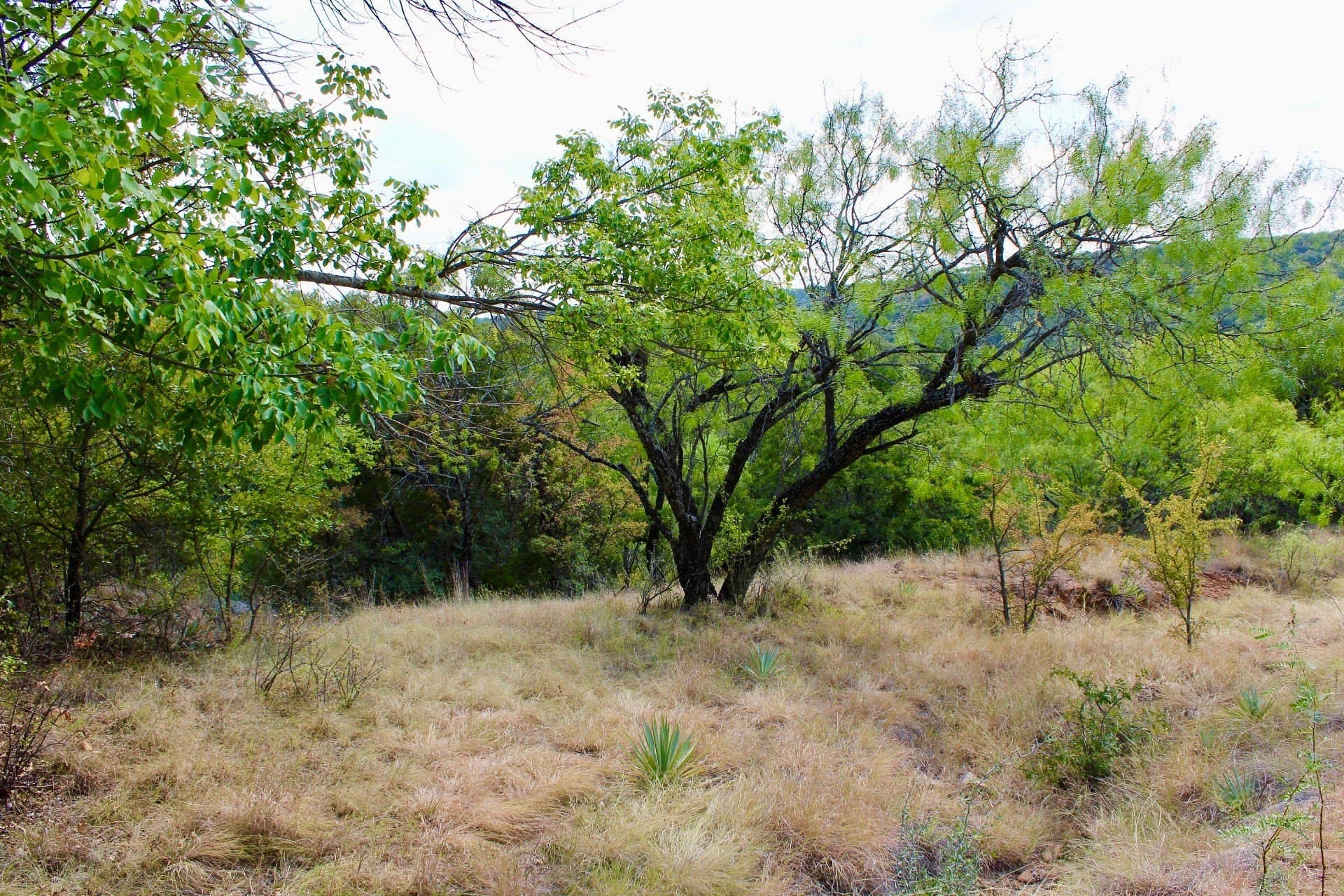 4.85 acres in Palo Pinto County - photo 11