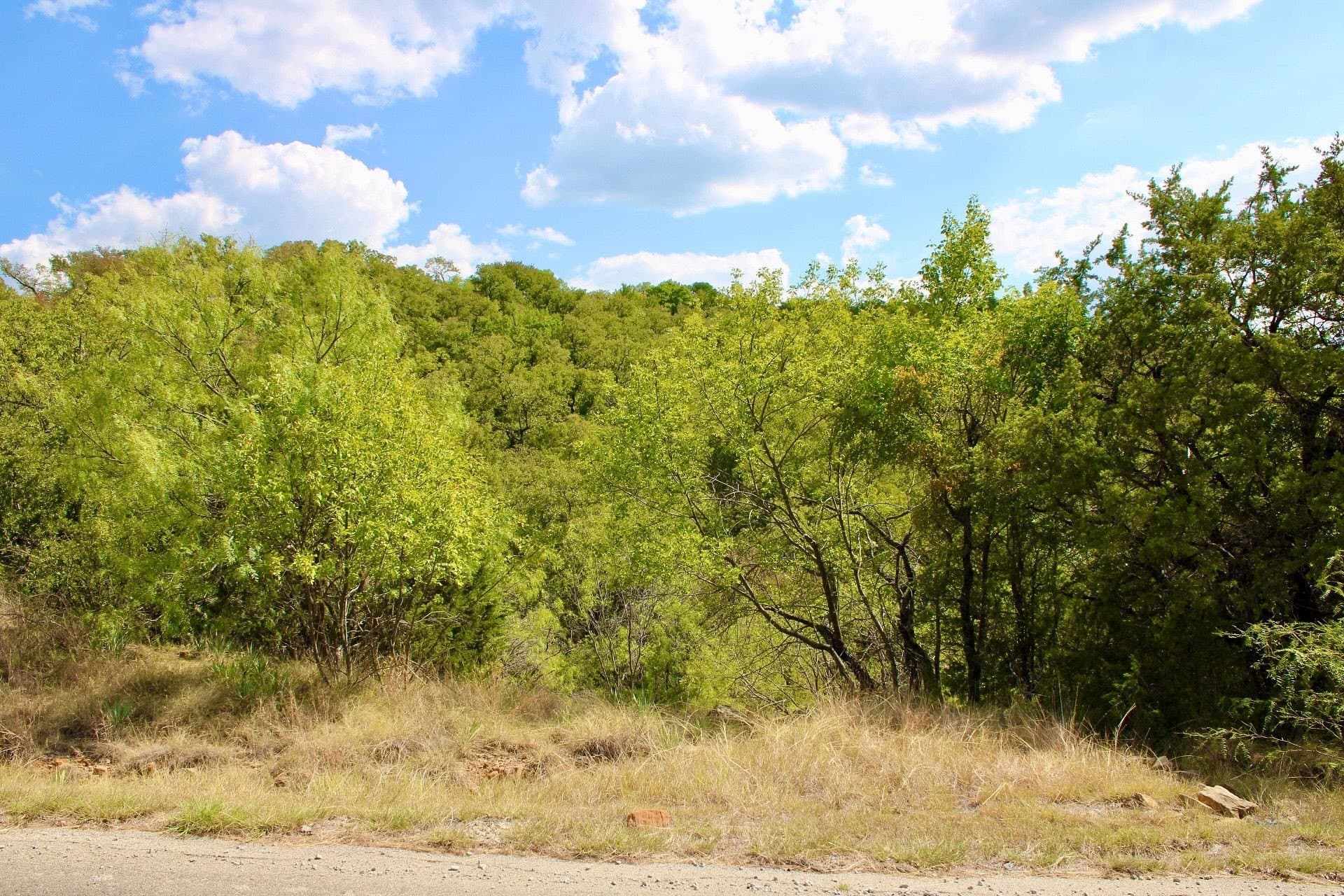 4.85 acres in Palo Pinto County - photo 3