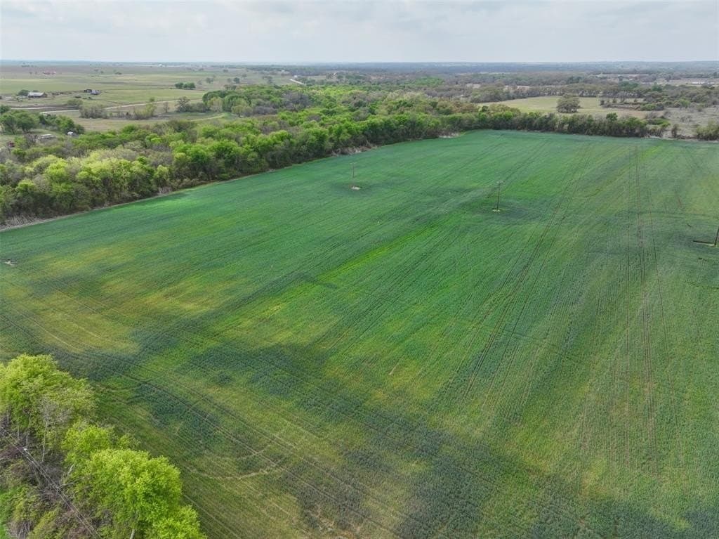38.57 acres in Hill County gallery image 4