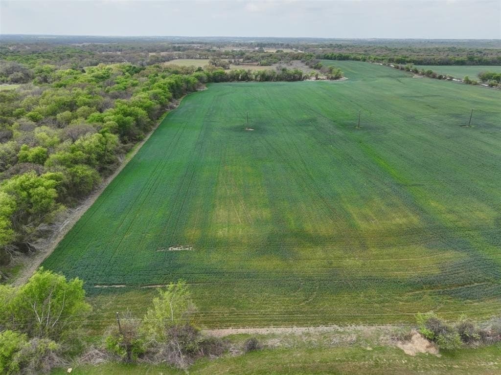 38.57 acres in Hill County featured view