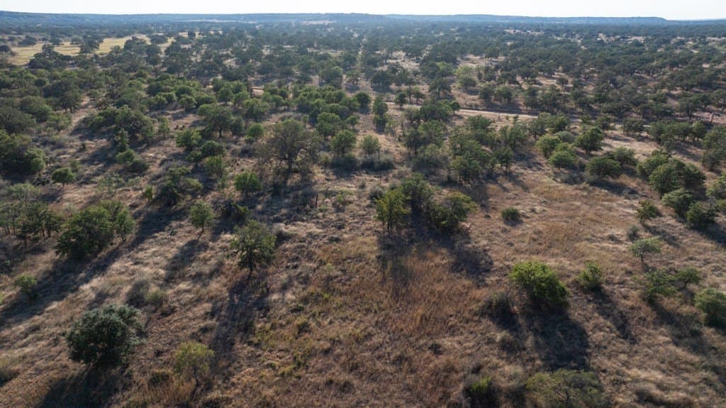 97 acres in Mason County - photo 15