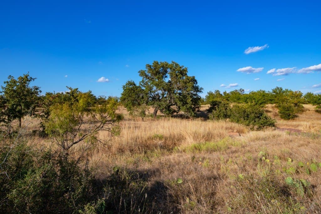 97 acres in Mason County gallery image 2