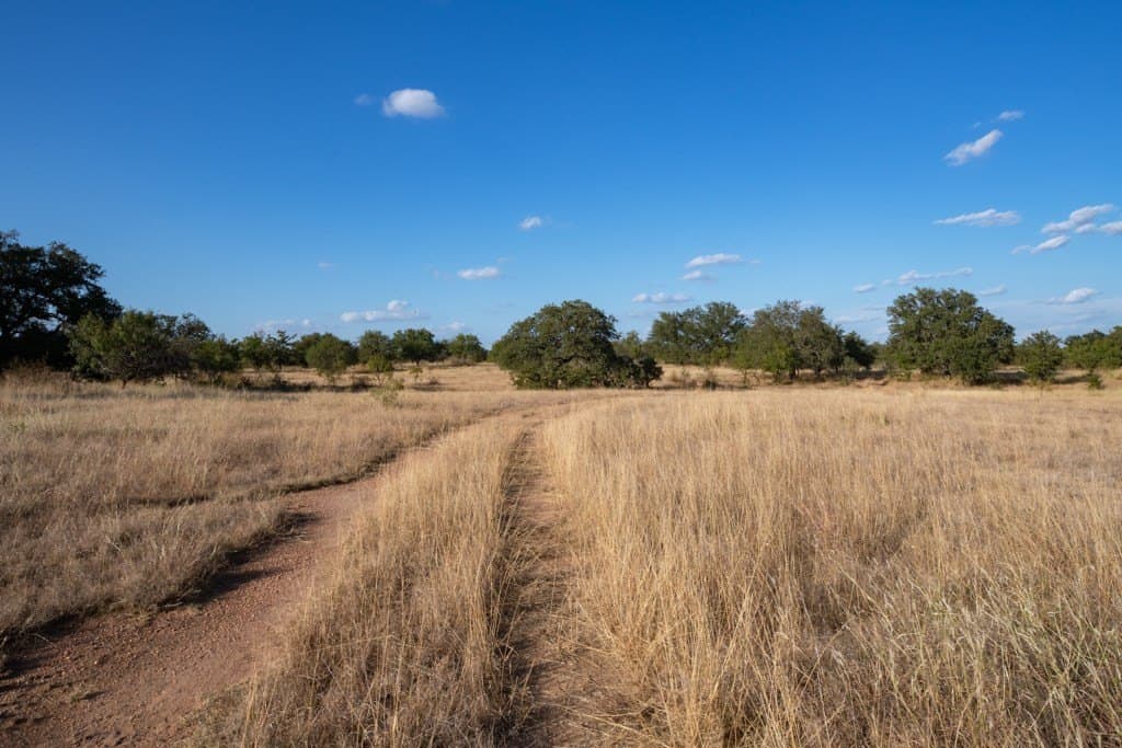 97 acres in Mason County gallery image 4