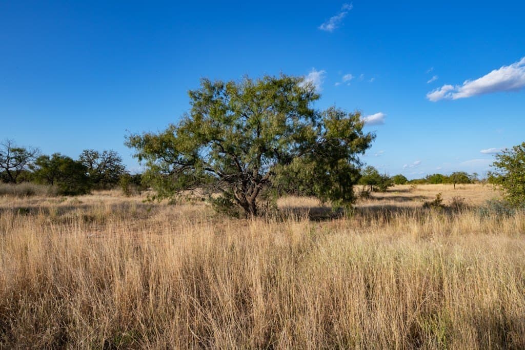 97 acres in Mason County featured view