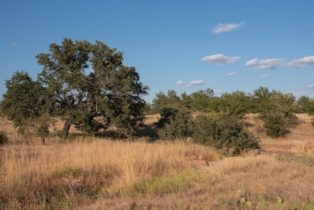 97 acres in Mason County - photo 7