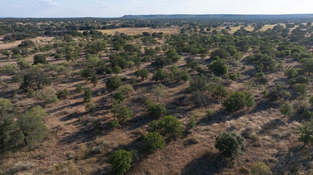 97 acres in Mason County - photo 16
