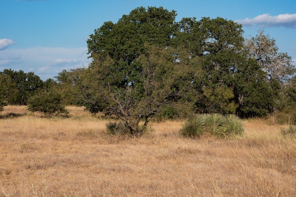 97 acres in Mason County - photo 8