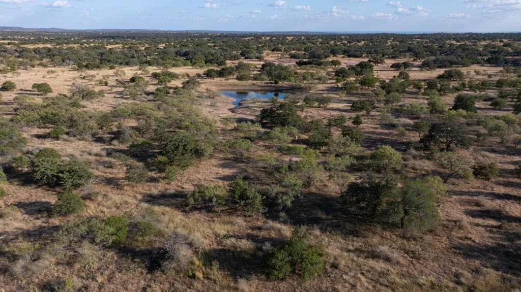 97 acres in Mason County - photo 17