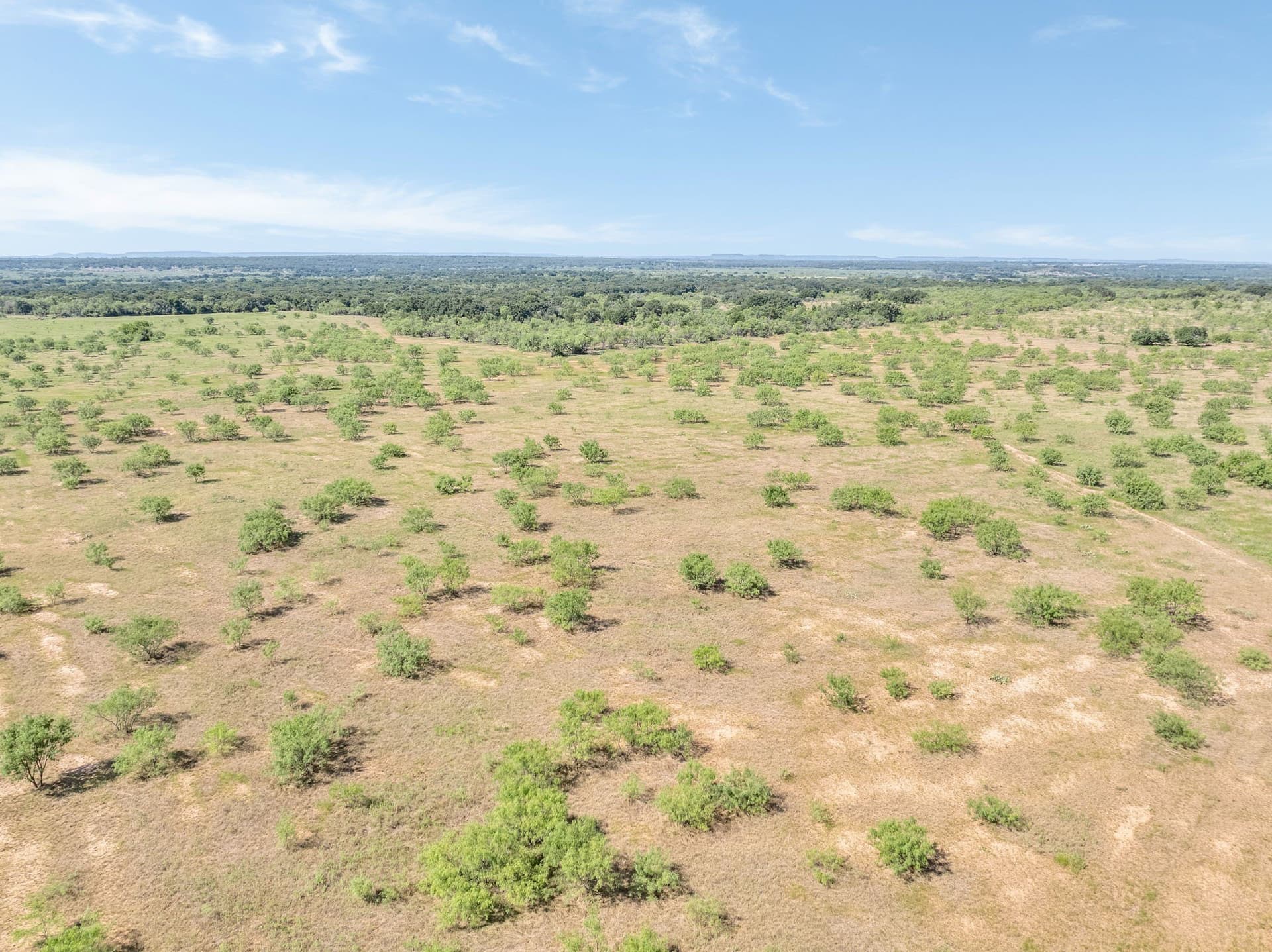 81.18 acres in Comanche County - photo 13