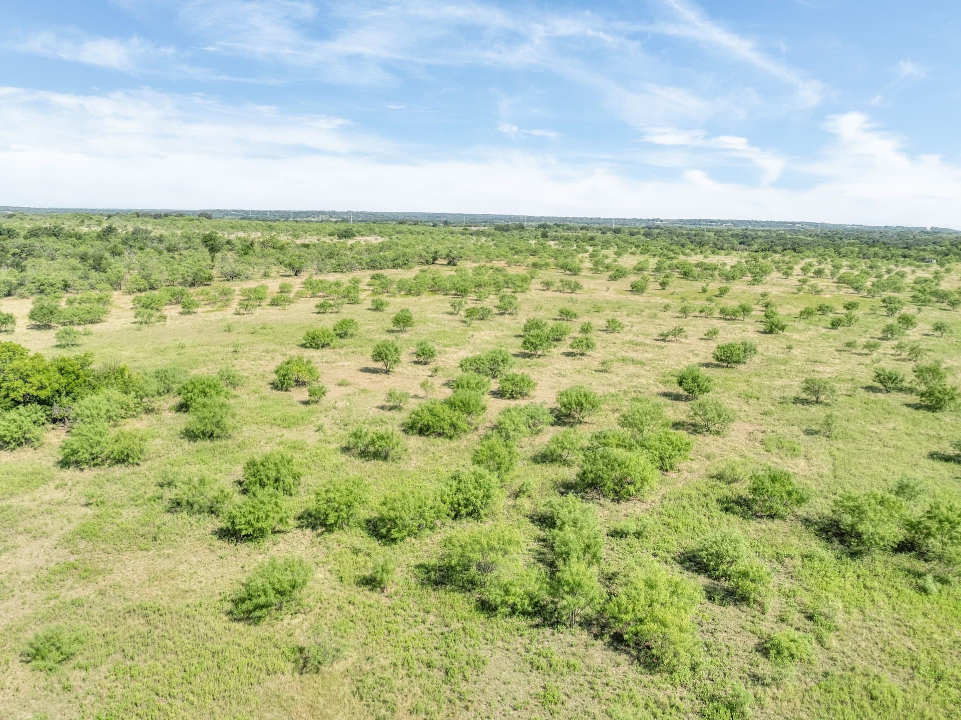 81.18 acres in Comanche County - photo 8