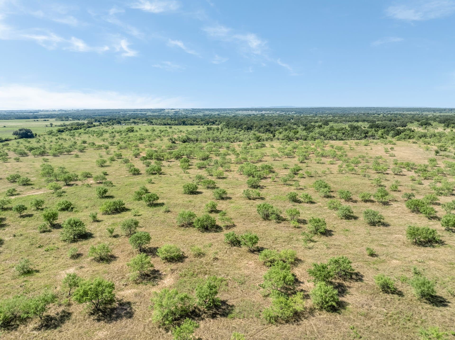 81.18 acres in Comanche County - photo 15