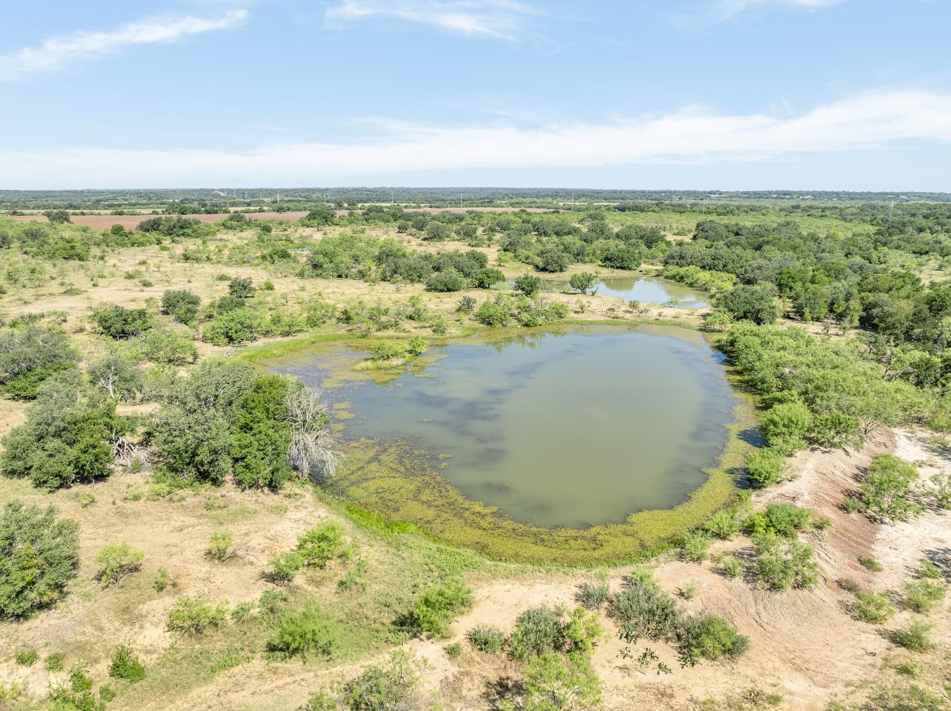 81.18 acres in Comanche County - photo 3