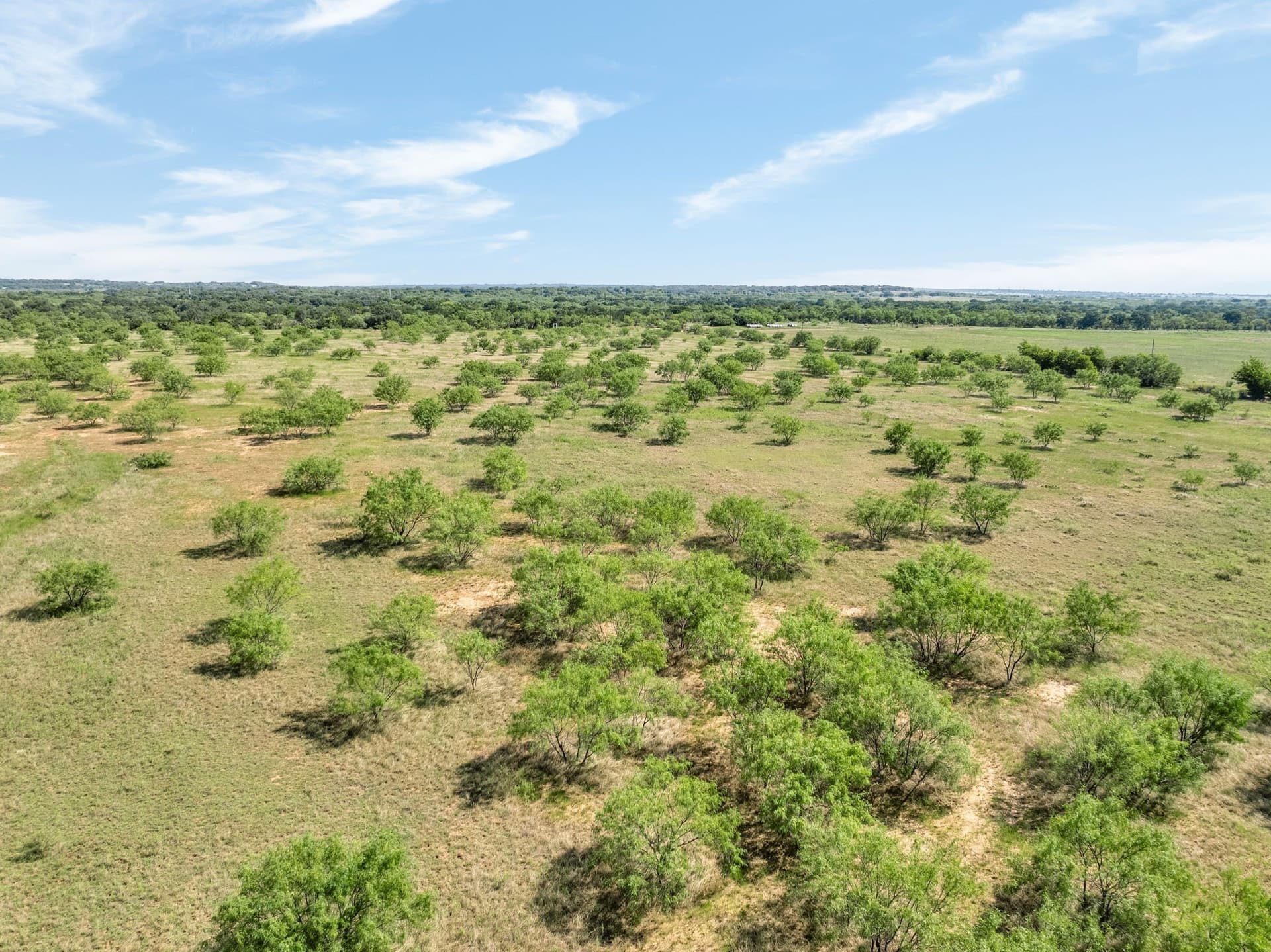 81.18 acres in Comanche County - photo 18