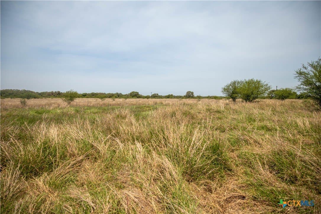 32.56 acres in DeWitt County - photo 16
