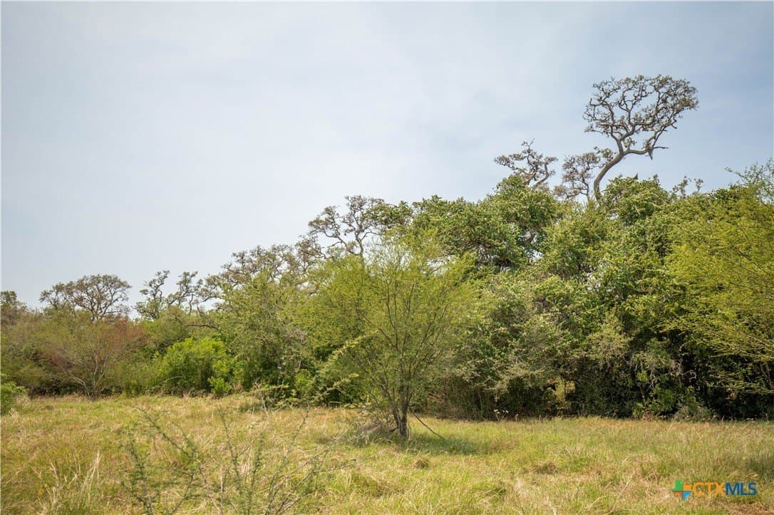 32.56 acres in DeWitt County - photo 31