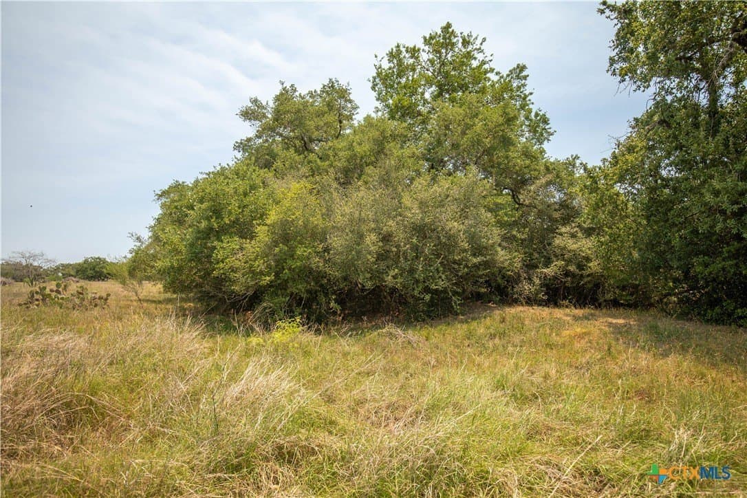 32.56 acres in DeWitt County - photo 26