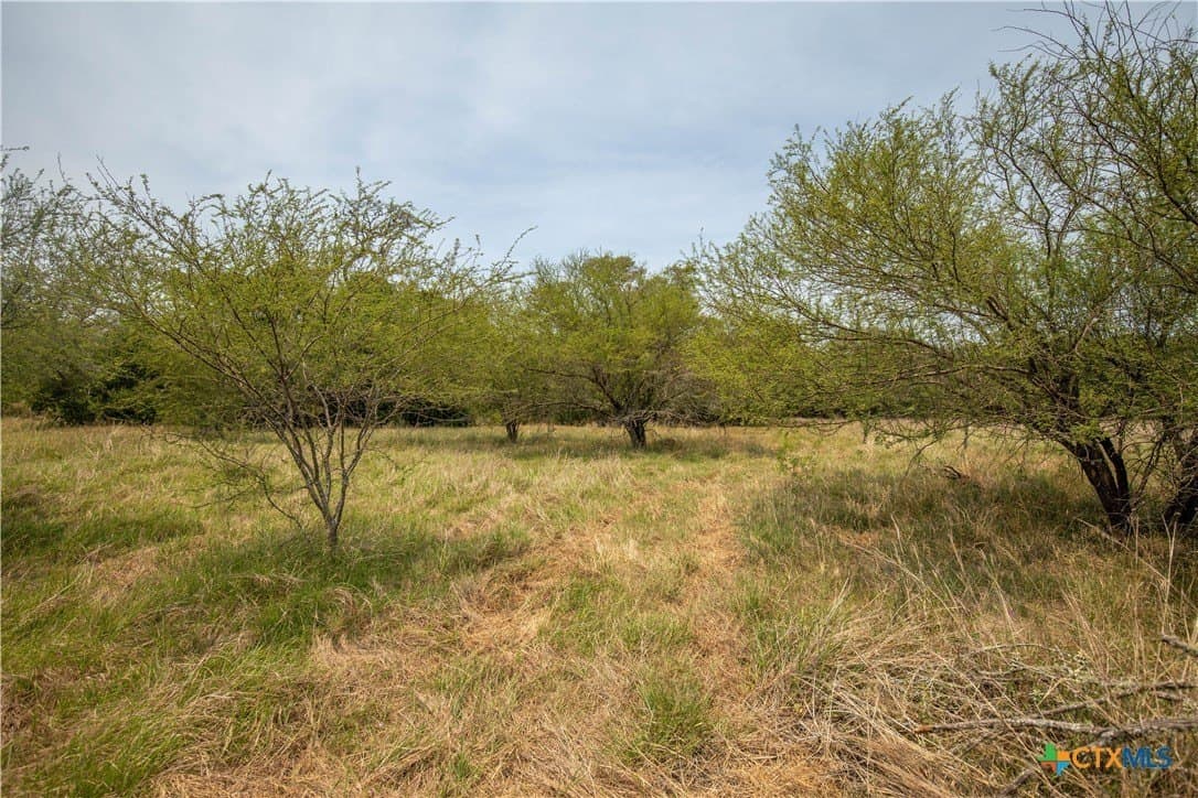 32.56 acres in DeWitt County - photo 30