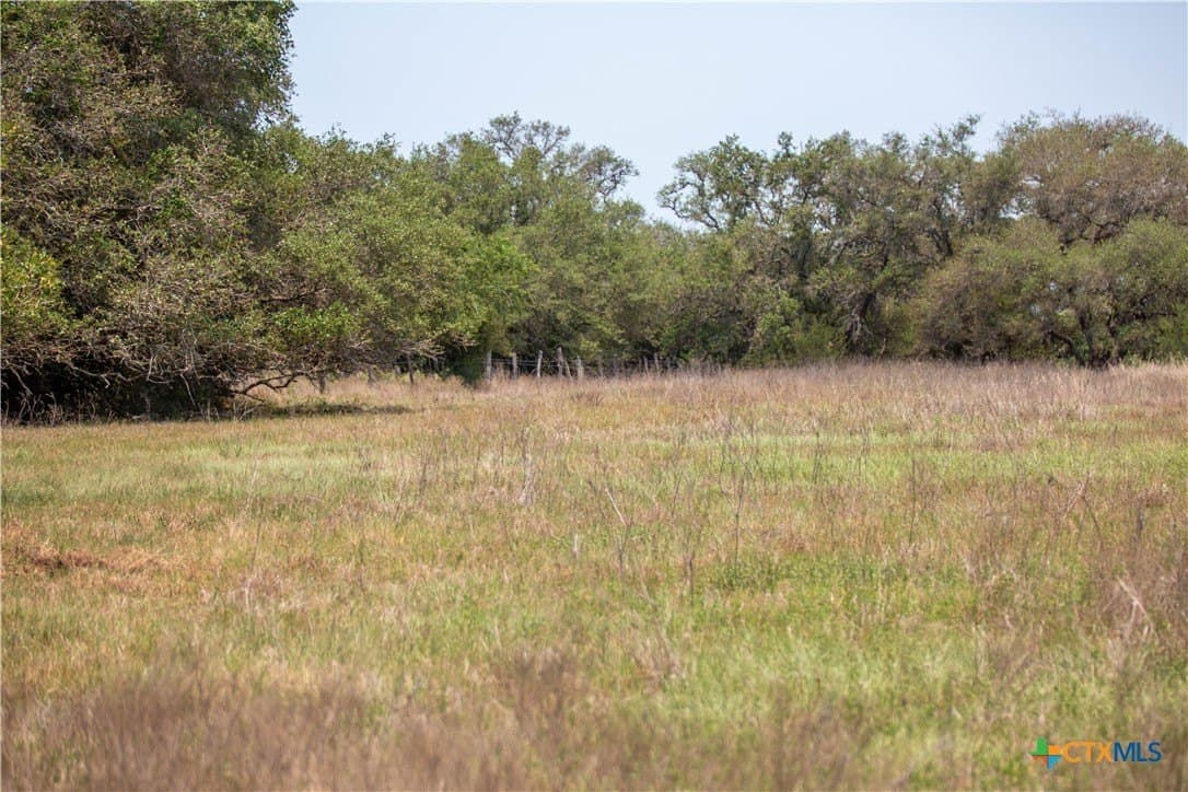 32.56 acres in DeWitt County - photo 42