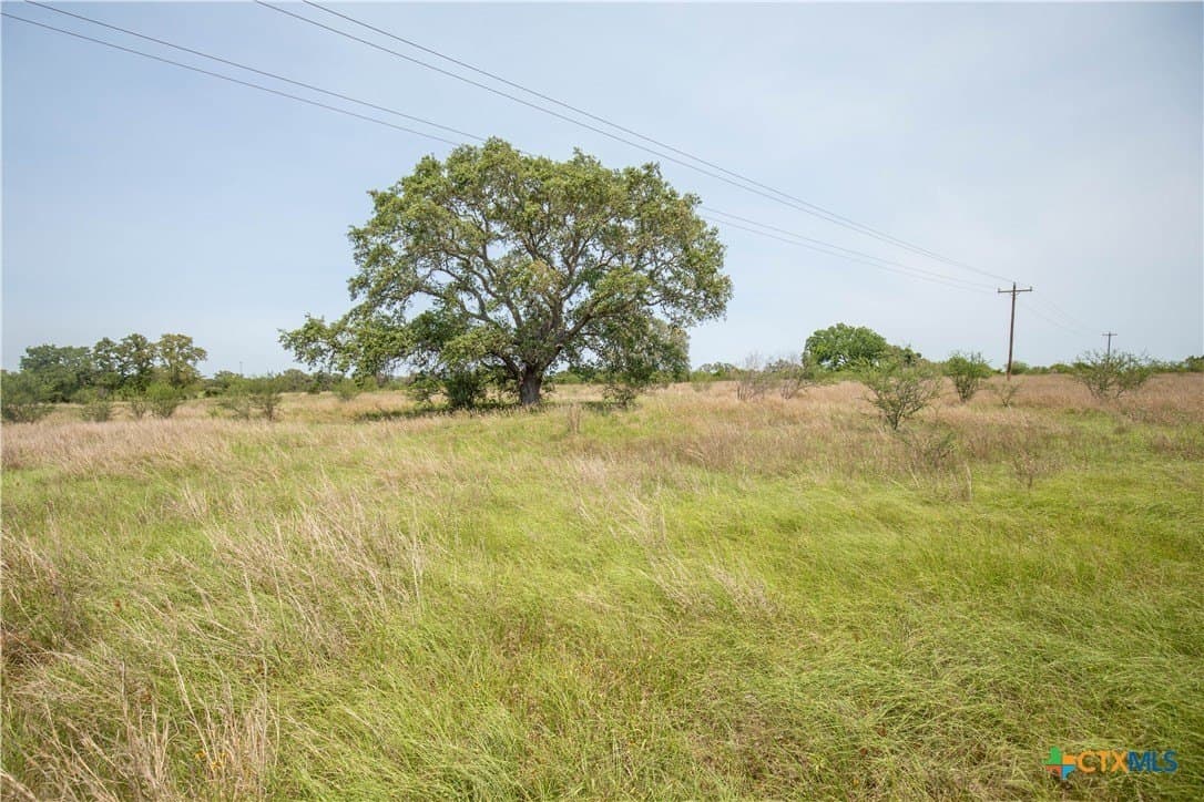 32.56 acres in DeWitt County - photo 35